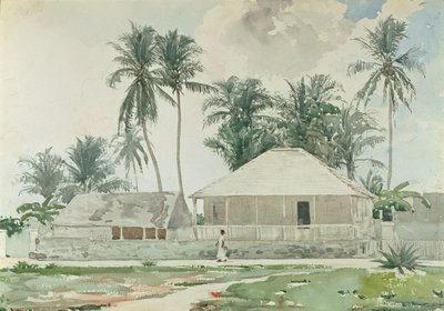 小屋，拿骚，1885年（wc和铅笔在纸上） 作者 温斯洛·荷马