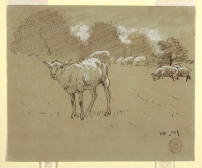 素描，田间放牧的绵羊，约 1875-78 年 作者 温斯洛·荷马