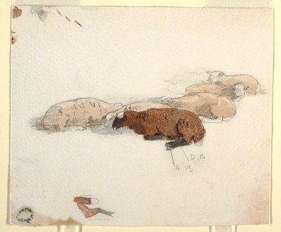 素描，休息的绵羊，1878 年 作者 温斯洛·荷马