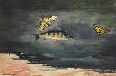 鱼和蝴蝶，1900年 作者 温斯洛·荷马