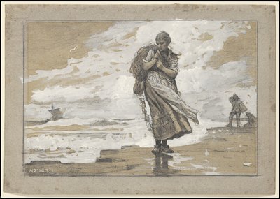 带网的费舍尔女孩，1882年 作者 温斯洛·荷马