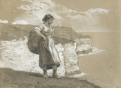 1882年，英格兰弗兰伯勒头 作者 温斯洛·荷马