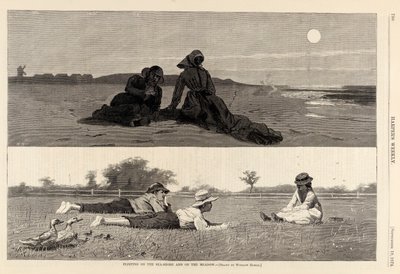 在海边和草地上调情》，摘自《哈珀周刊》1874 年 9 月 19 日 作者 温斯洛·荷马