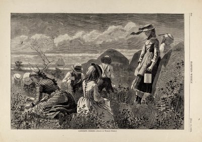 采集浆果》，摘自《哈珀周刊》，1874 年 7 月 11 日 作者 温斯洛·荷马