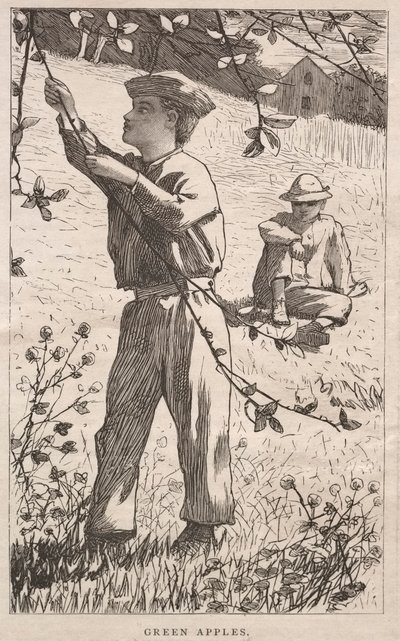 青苹果 作者 温斯洛·荷马