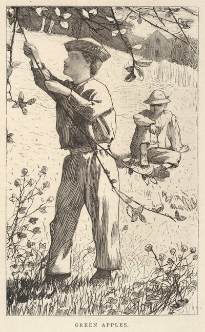 青苹果》，摘自《我们的年轻人》，1868 年 8 月 作者 温斯洛·荷马