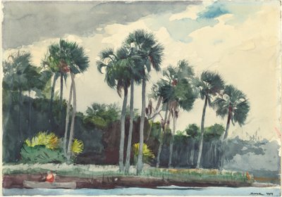 红衫军，佛罗里达州霍莫萨萨，1904年。 作者 温斯洛·荷马
