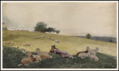霍顿农场的牧羊人，1878年 作者 温斯洛·荷马