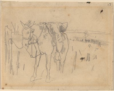 拴住了，1864年。 作者 温斯洛·荷马