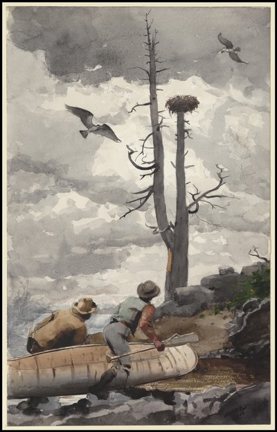 鹰巢，1902年 作者 温斯洛·荷马