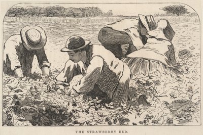 草莓床》，选自《我们的年轻人》，1868 年 7 月 作者 温斯洛·荷马