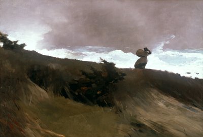 The West Wind 作者 温斯洛·荷马