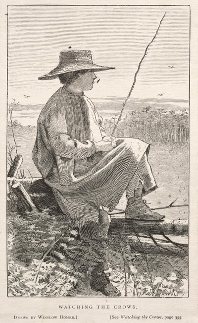 观看乌鸦，1868年。 作者 温斯洛·荷马