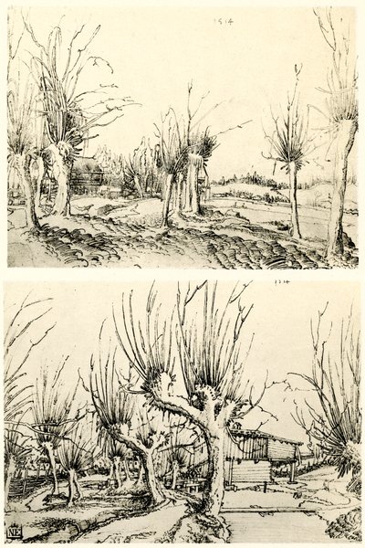 与柳树的风景 作者 沃尔夫·胡伯