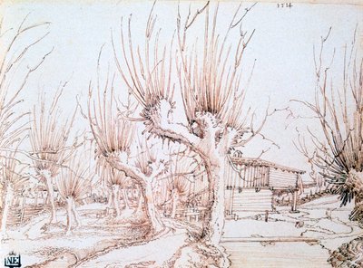 柳树种植园》，1514年 作者 沃尔夫·胡伯