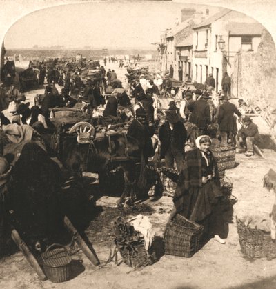 卖爱尔兰人的生命之杖，土豆市场，爱尔兰戈尔韦，1901年。 作者 作品和太阳雕塑工作室