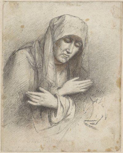 圣母玛利亚 作者 Woutherus Mol