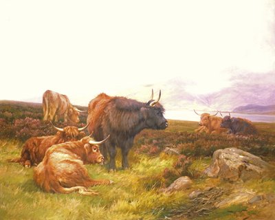 海湾的高地人 作者 Wright Barker