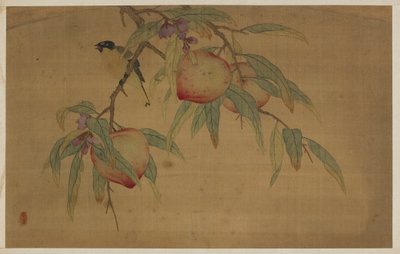 鸟、水果和花朵 作者 吴章