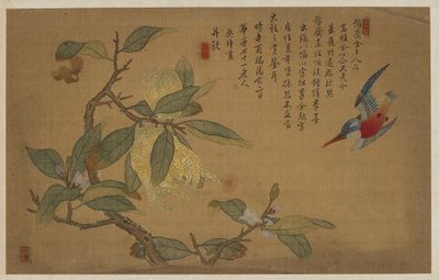 鸟、果、花，清代，1741年。 作者 吴章