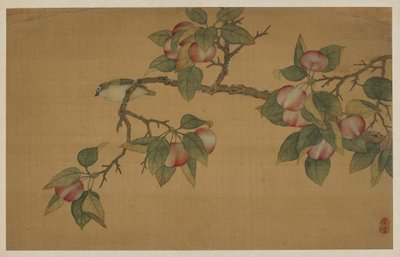 鸟和水果，清代，1741年。 作者 吴章