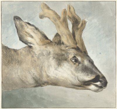 罗巴克人的头 作者 Wybrand Hendriks