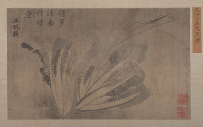 卷心菜和昆虫。 作者 徐道光