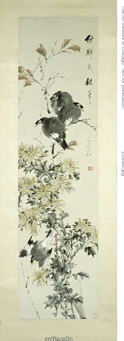 凤头麦娜鸟和菊花 作者 徐ugu