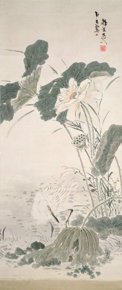 鹭和莲花 作者 山本白津