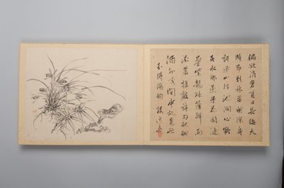 四季的精致优雅 Shiji seiga，花画专辑，1844年。 作者 山本白津