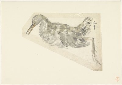 死水鸟 作者 山本真良白逸