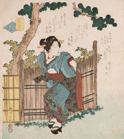 Mono iwanu hana“寂静的花朵”，因为mono iu hana（说话的花朵）是美丽女性的常见诗意表达，无声花朵是指自然状态下的实际花朵，说明一位妇女将她的腰带绑在栅栏后面，并用卡库的诗作 作者 柳川二重信