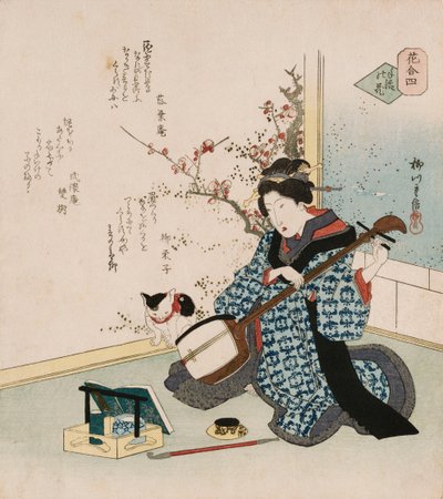 Te-ike no hana“摘花”，一个术语，指的是艺妓或妓女，已成为赞助人的妻子或情妇，并与bordello买断了合同，说明一位妇女用诗歌调情了一个萨姆森人由Rakuyoan，Ryueishi和Bu 作者 柳川二重信