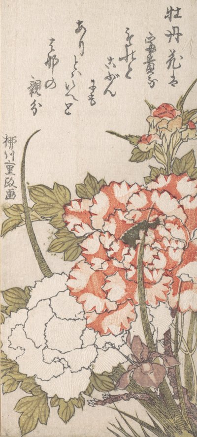 牡丹和鸢尾花，18-19世纪。 作者 柳川重政