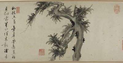 国家的支柱 作者 姚守