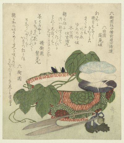 瓷碗中的花笄草 作者 六重园