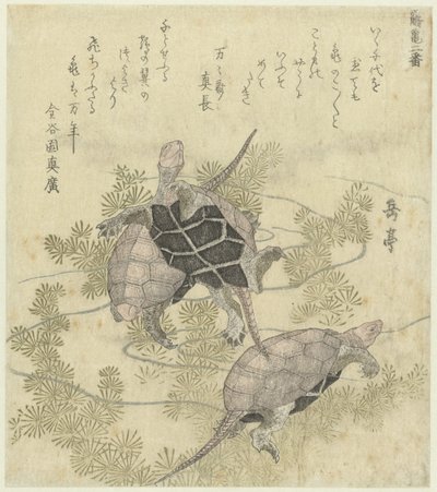 水生植物中的三只乌龟
两幅鹤与龟的系列版画（系列名称）
鹤龟（实物上的系列名称） 作者 金国园真弘