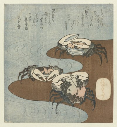 岸边的螃蟹 作者 矢岛学亭