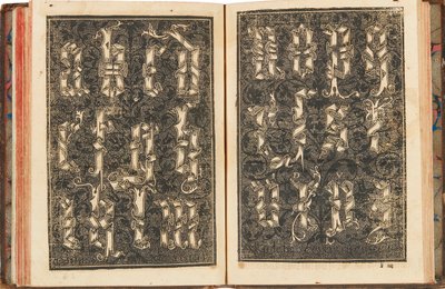 Recopilacion subtilissima, intitulada Orthographia pratica, 1548. 作者 伊西亚尔