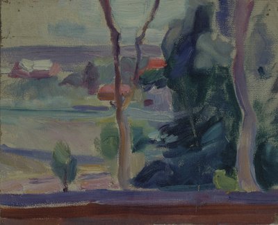景观，1905年 作者 叶莲娜·根里乔夫娜·古罗