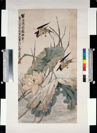 荷花凋谢后听雨 作者 王一婷