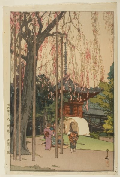 川越的樱桃树 作者 吉田宏