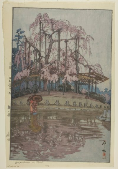 雨中的野樱 作者 吉田宏