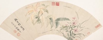 康乃馨和马齿苋。 作者 寿云