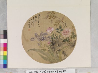 花与岩石 作者 张雄