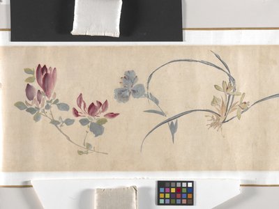 彩色花朵 作者 周志勉