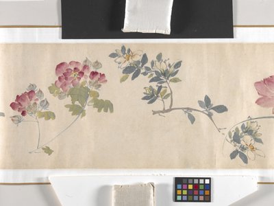 彩色花朵 作者 周志勉