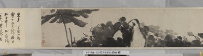 荷塘（纸本水墨） 作者 朱达八大山人