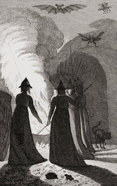 一群女巫围着一个大锅。 作者 . .