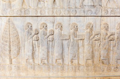 阿契美尼德王朝的古代浮雕；爱奥尼亚人的代表团；阿帕达纳宫；考古遗址；波斯古城波斯波利斯；联合国教科文组织世界文化遗产；法尔斯省；伊朗；亚洲 作者 弗雷德里克（致）巴纳德